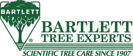 Bartlett Tree Experts