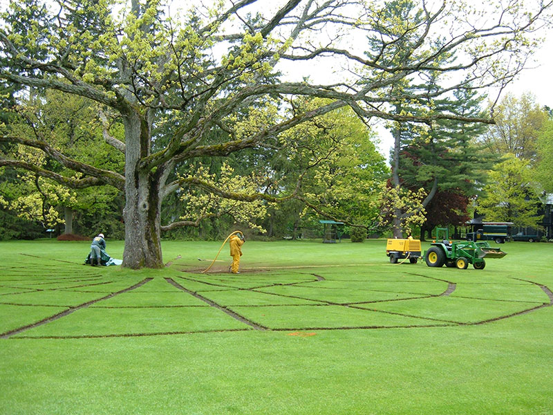 Soil Decompaction