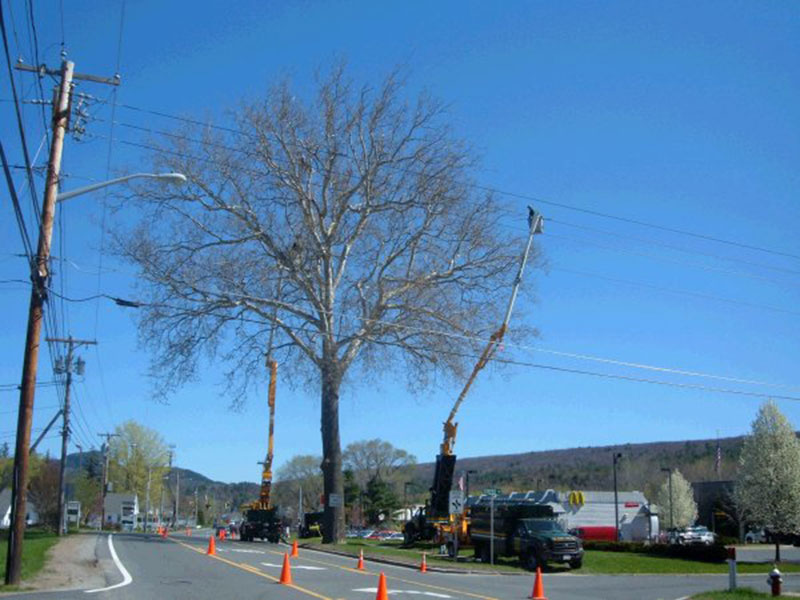 Tree Pruning